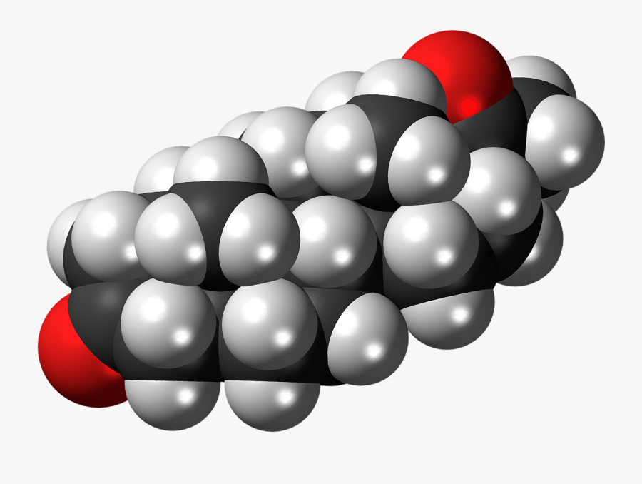 Molécule De Progestérone Clipart , Png Download - Steroid Production By Bacteria, Transparent Clipart