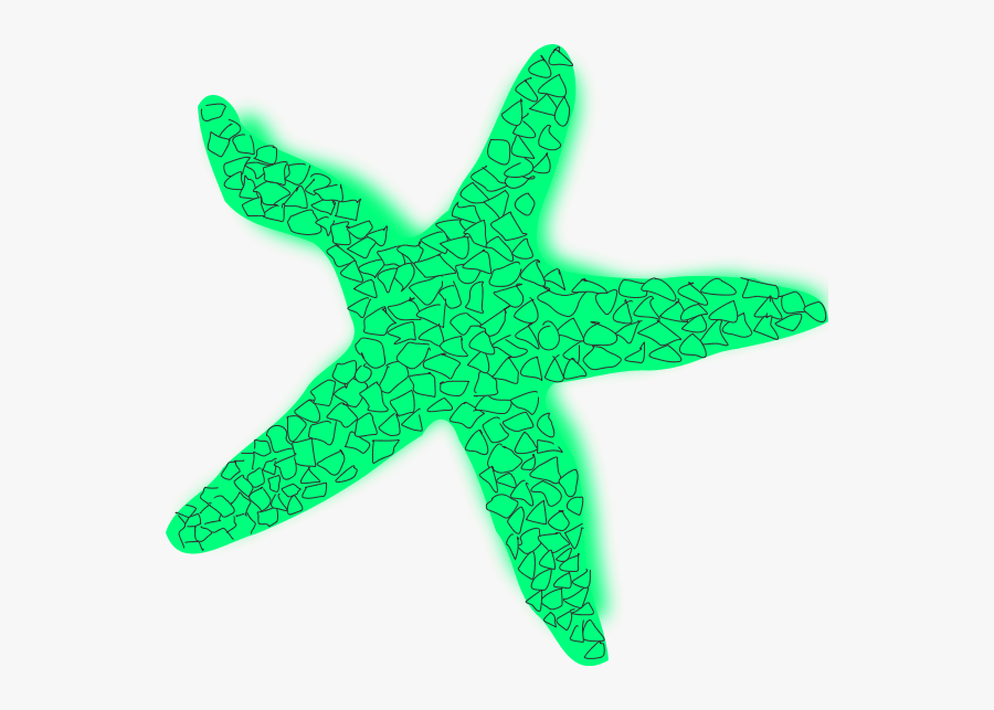 Starfish Clipart Star Fish - Starfish, Transparent Clipart