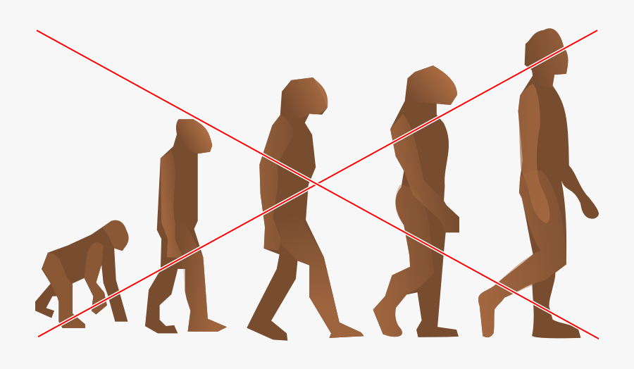 Apr Clipart , Png Download - Anthropology Clipart, Transparent Clipart