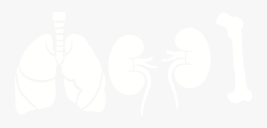 Lung Icon, Transparent Clipart