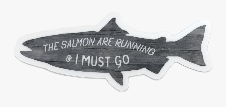 Trout, Transparent Clipart