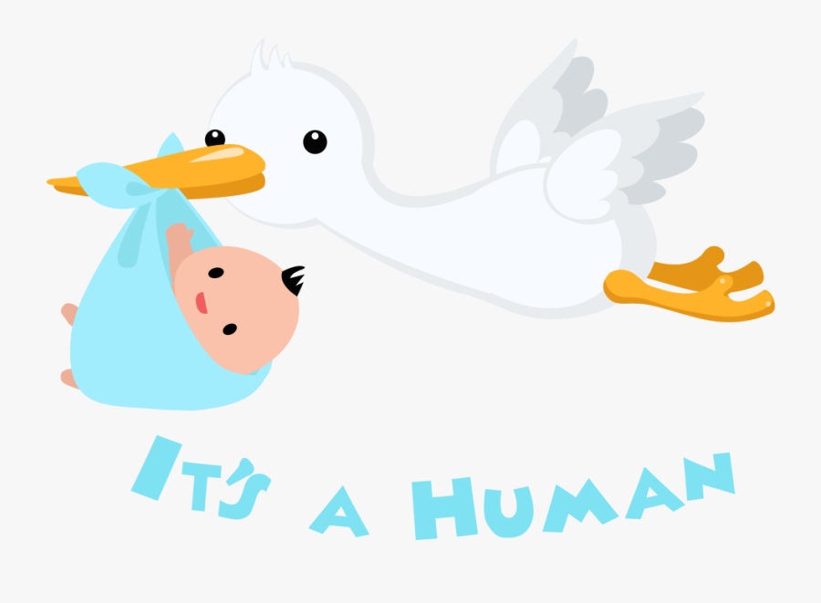 Matematicas Para Niños, Transparent Clipart