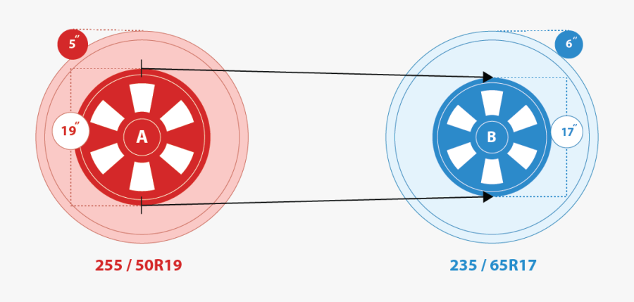 Circle, Transparent Clipart