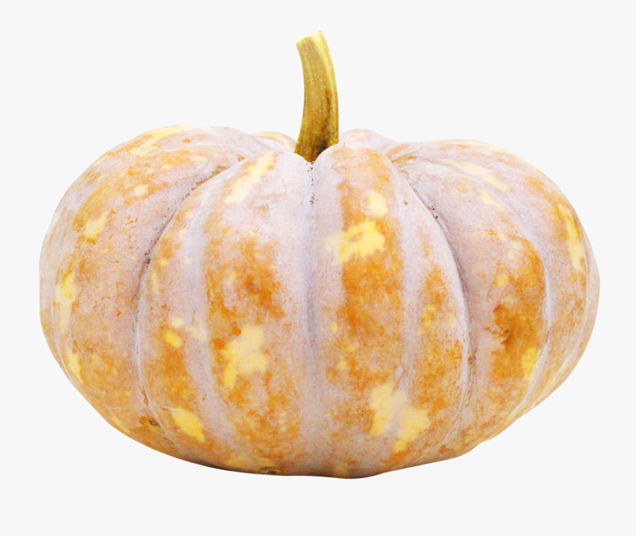 Plum Clipart Rutabaga - Pumpkin Png, Transparent Clipart