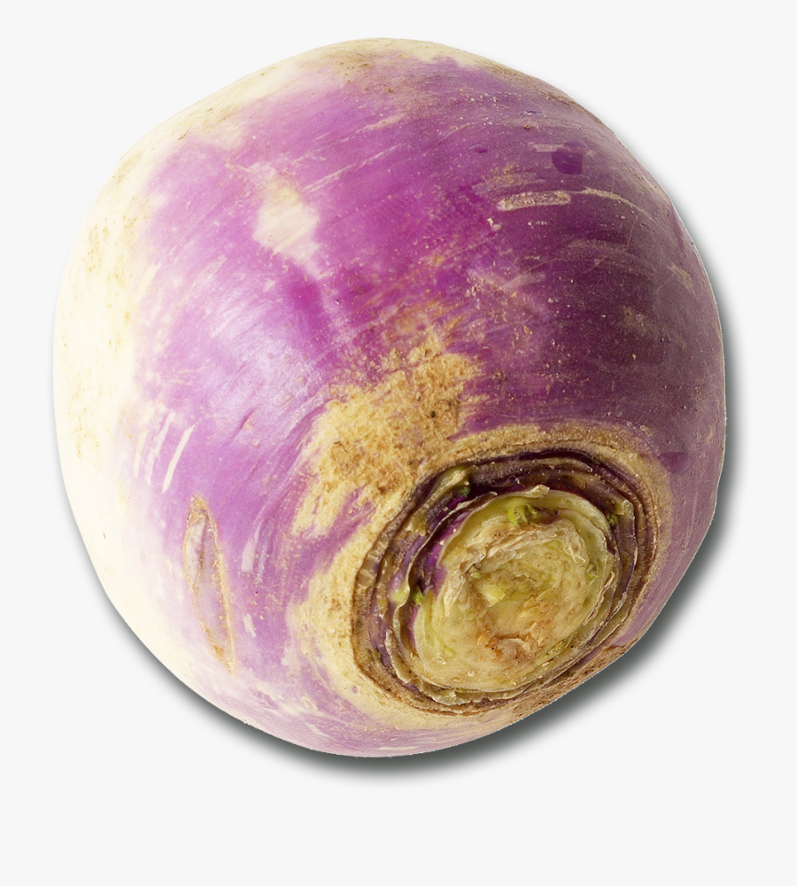 Vegetable - Turnip, Transparent Clipart