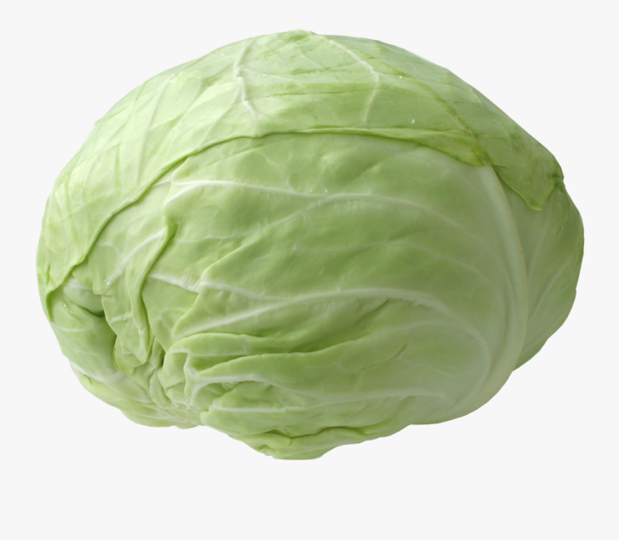 Red Cabbage Napa Cabbage Vegetable Portable Network - Cabbage Png, Transparent Clipart