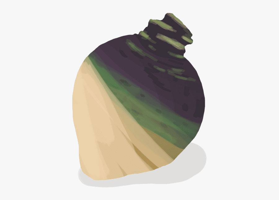 Rutabaga - Illustration, Transparent Clipart