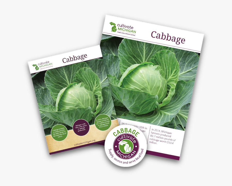 Cabbage Png -gingered Cabbage Slaw - Collard Greens, Transparent Clipart