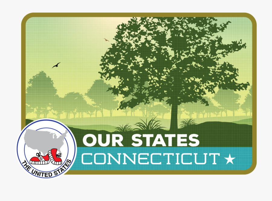 Oak, Transparent Clipart