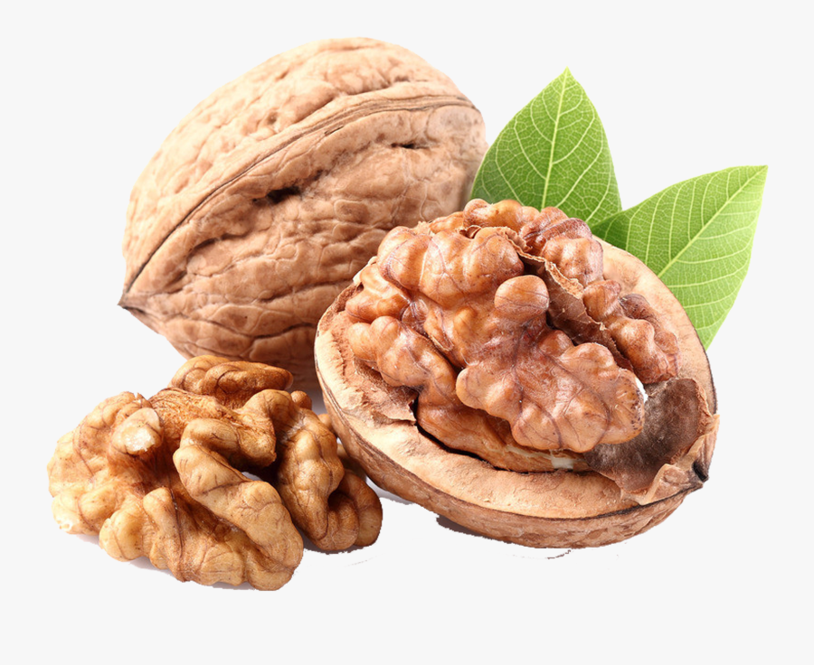 Walnut Almond Food Transprent - Noce Png, Transparent Clipart