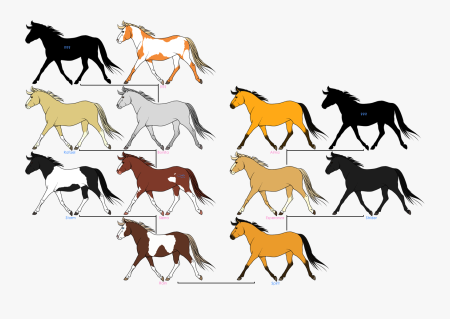 Mustang Horses Family Tree Spirit - Spirit Mustang Horse Drawing, Transparent Clipart