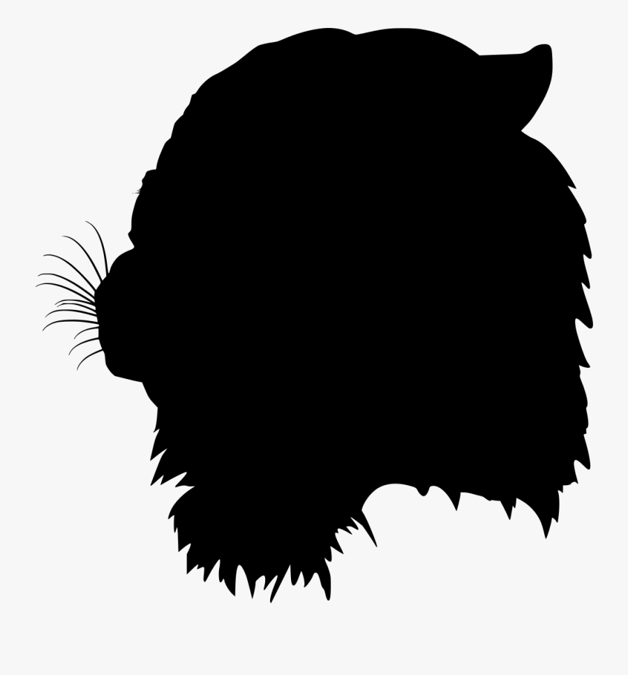 Wildcat Eyes Clipart, Transparent Clipart