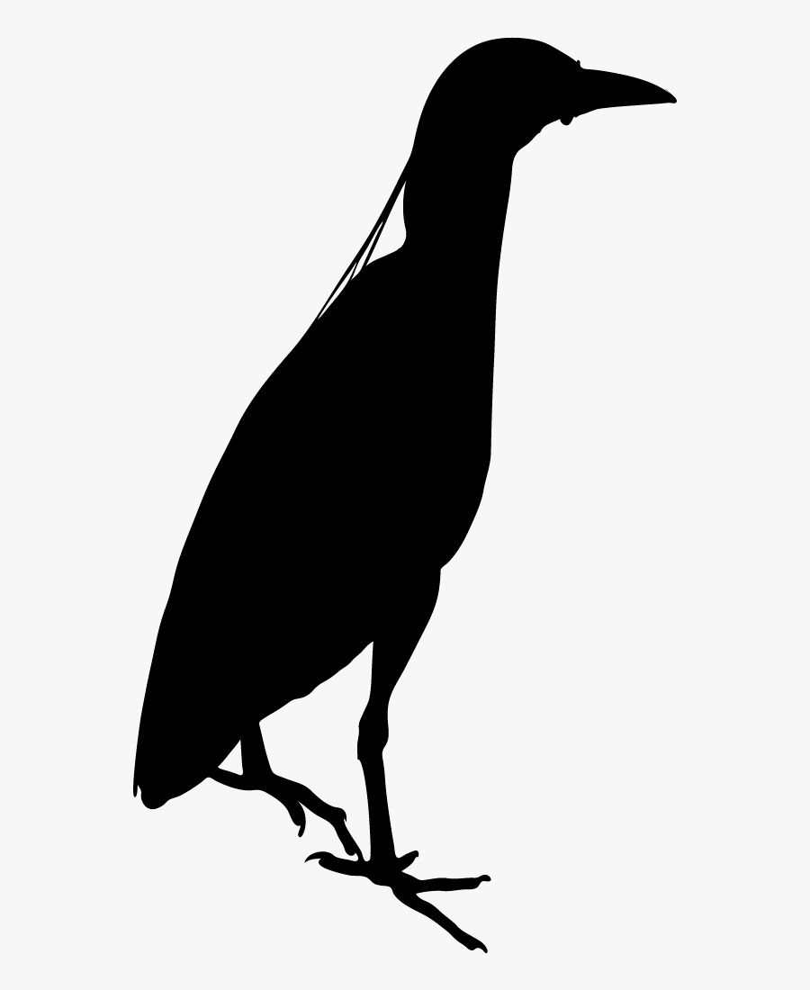 Black Birds In Night, Transparent Clipart