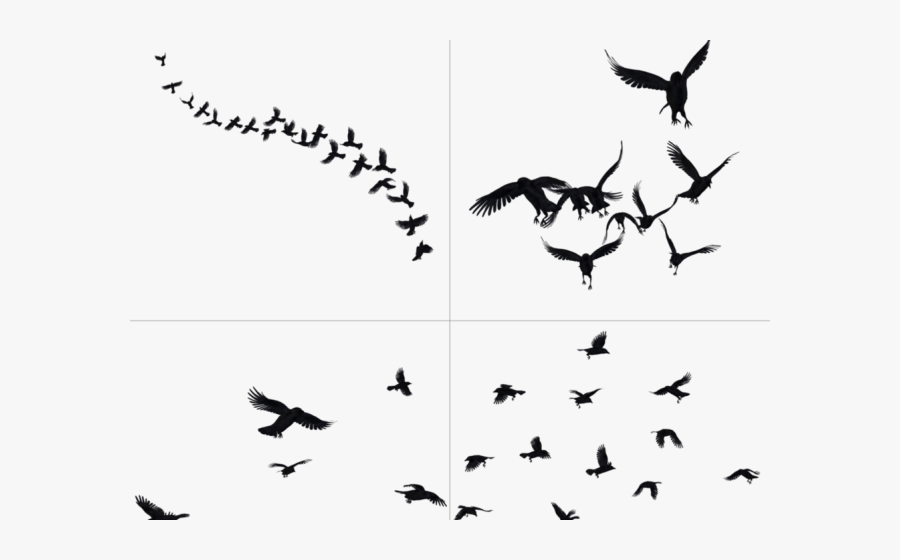 Crows Png, Transparent Clipart