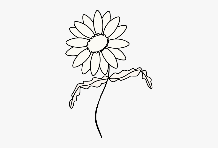How To Draw A - Daisy Flower Drawing Simple, Transparent Clipart