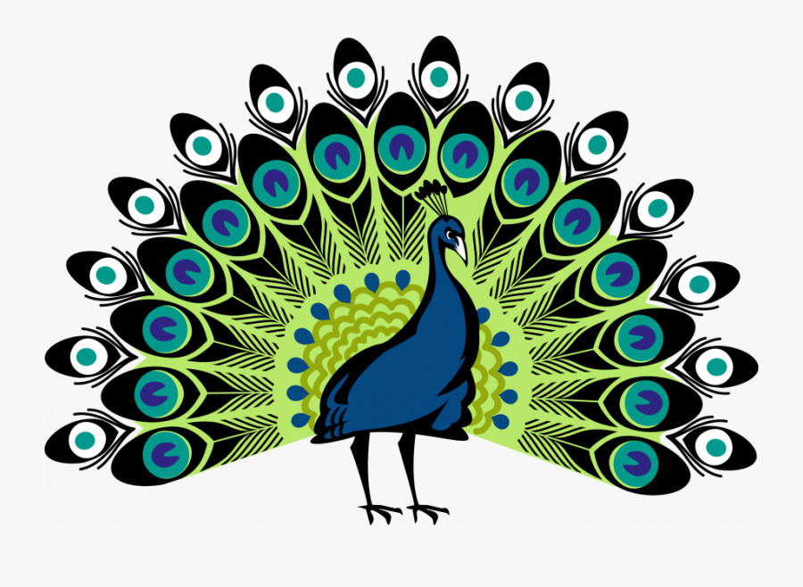 Easy Peacock Drawing Pencil Feather With Colour Step - Peacock Png, Transparent Clipart