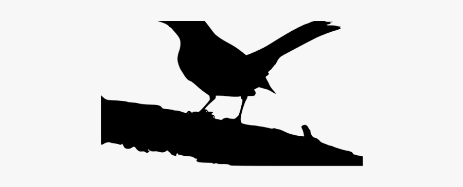 Mockingbird Clipart, Transparent Clipart
