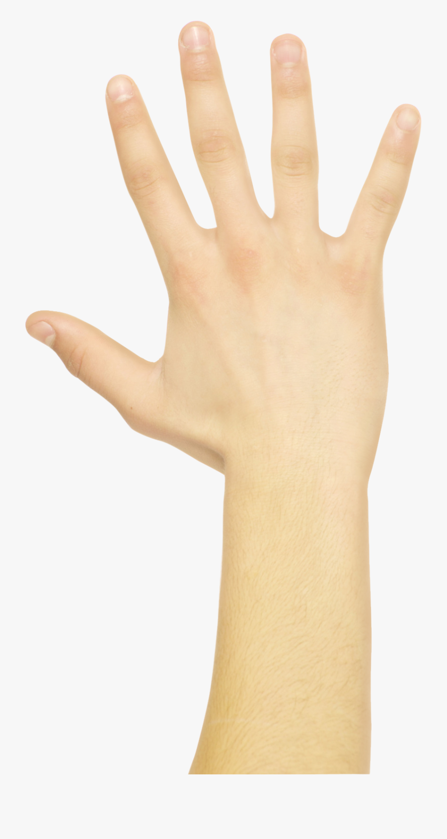 Clip Art Hand Opening Door - Maddie Ziegler Barbie Doll, Transparent Clipart