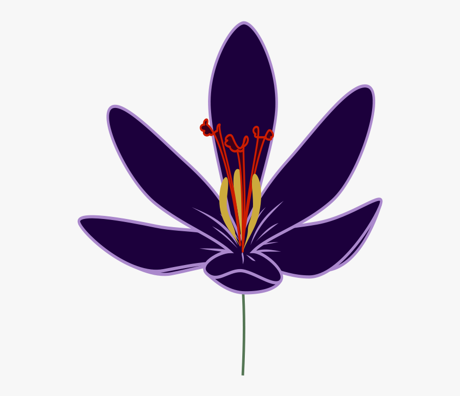 Transparent Crocuses Clipart - Transparent Saffron Flower Png, Transparent Clipart