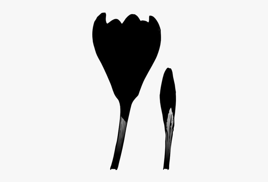 Transparent Crocus Flower Png Image - Silhouette, Transparent Clipart
