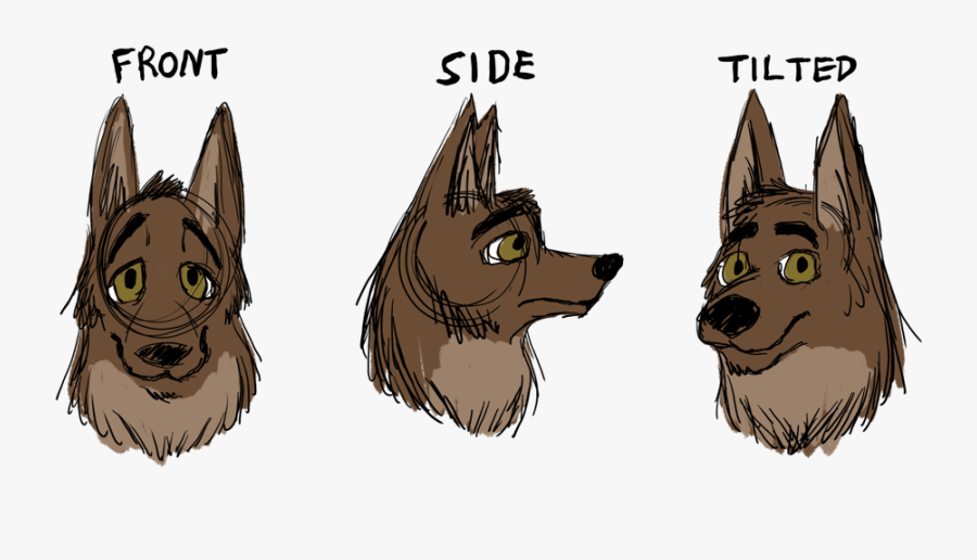 Front, Side, And Tilted View Of A Character"s Head - Cartoon, Transparent Clipart