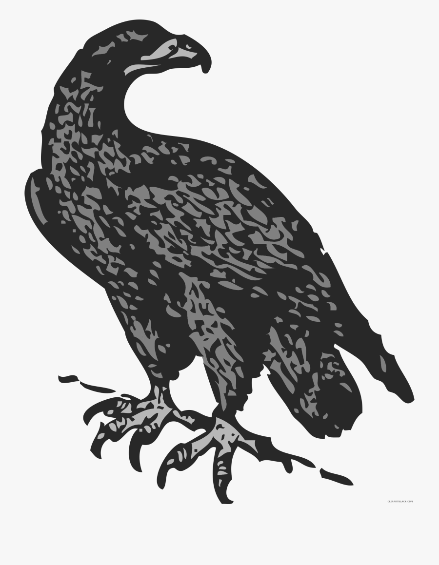 Grayscale Eagle Animal Free Black White Clipart Images - Golden Eagle Clip Art, Transparent Clipart