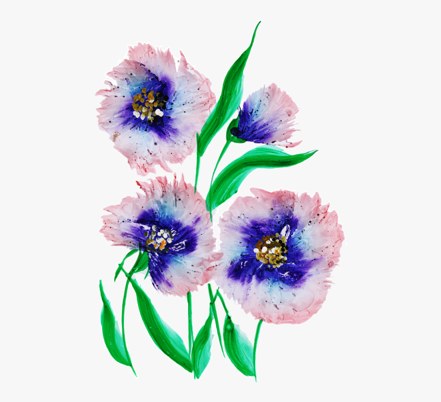 Geissorhiza, Transparent Clipart