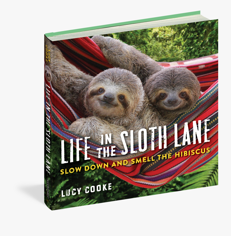 Transparent Sloth Png - Life In The Sloth Lane, Transparent Clipart