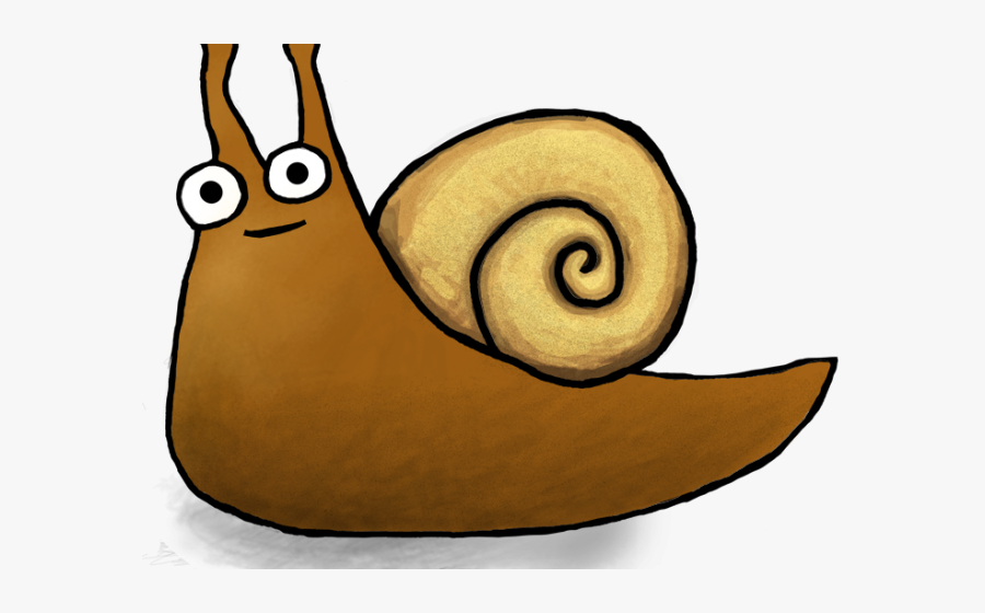 Giant African Snail Drawing, Transparent Clipart