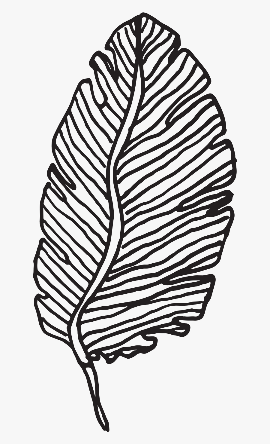 Tracy And Frank"s Historic Wakefield Barn Wedding North - Clothing Brand Logo Emblem, Transparent Clipart