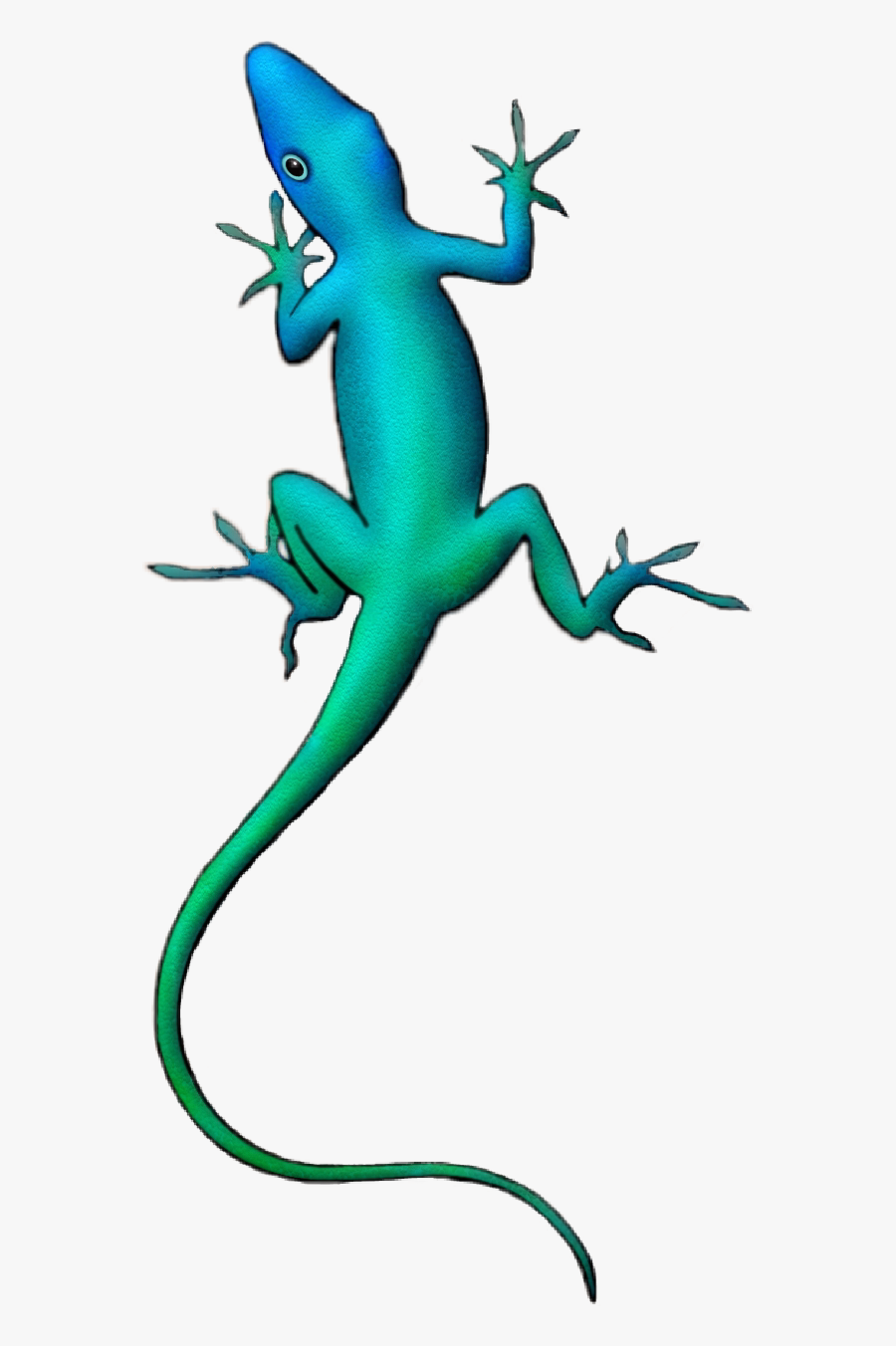 #lizard #lizards #reptiles #reptile #blue #green #aqua - True Frog, Transparent Clipart