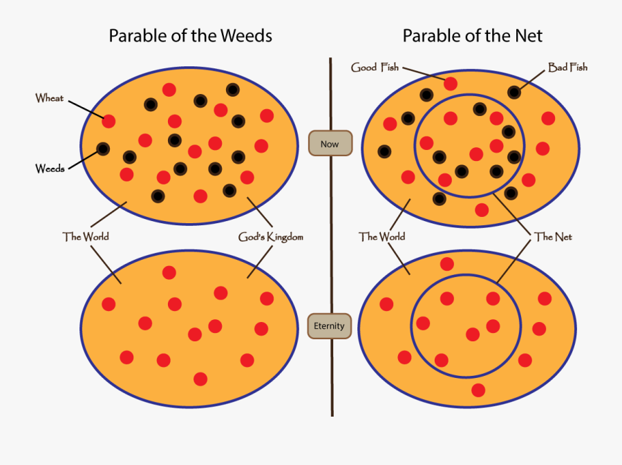 Circle, Transparent Clipart