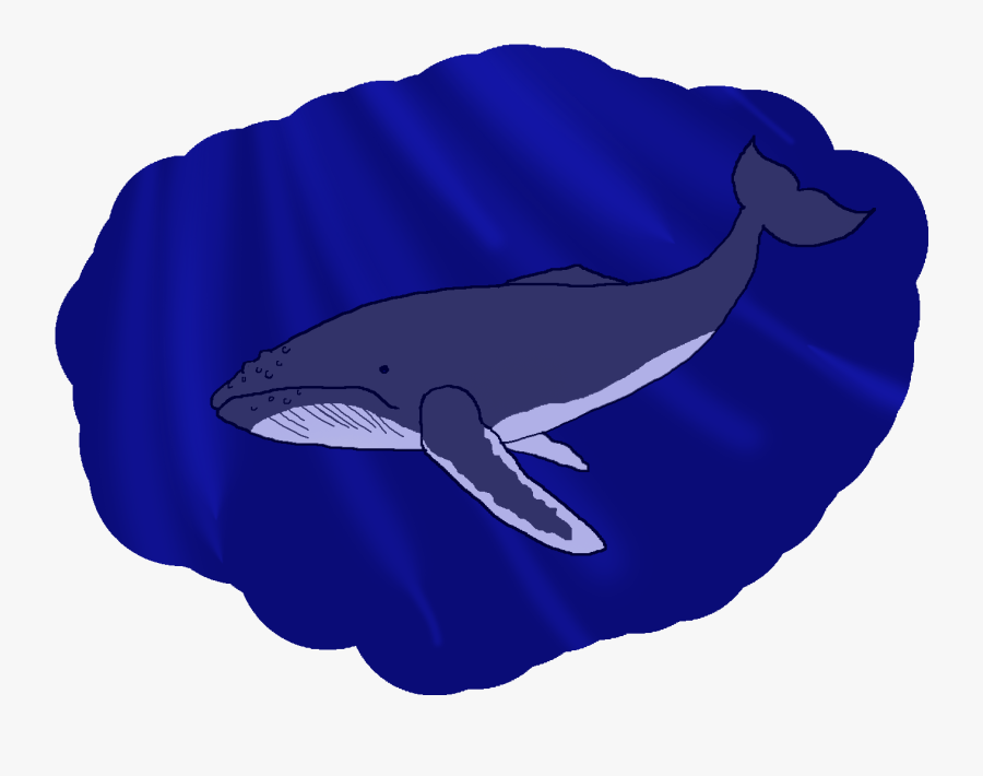 Clipart Whale Breathing - Wholphin, Transparent Clipart