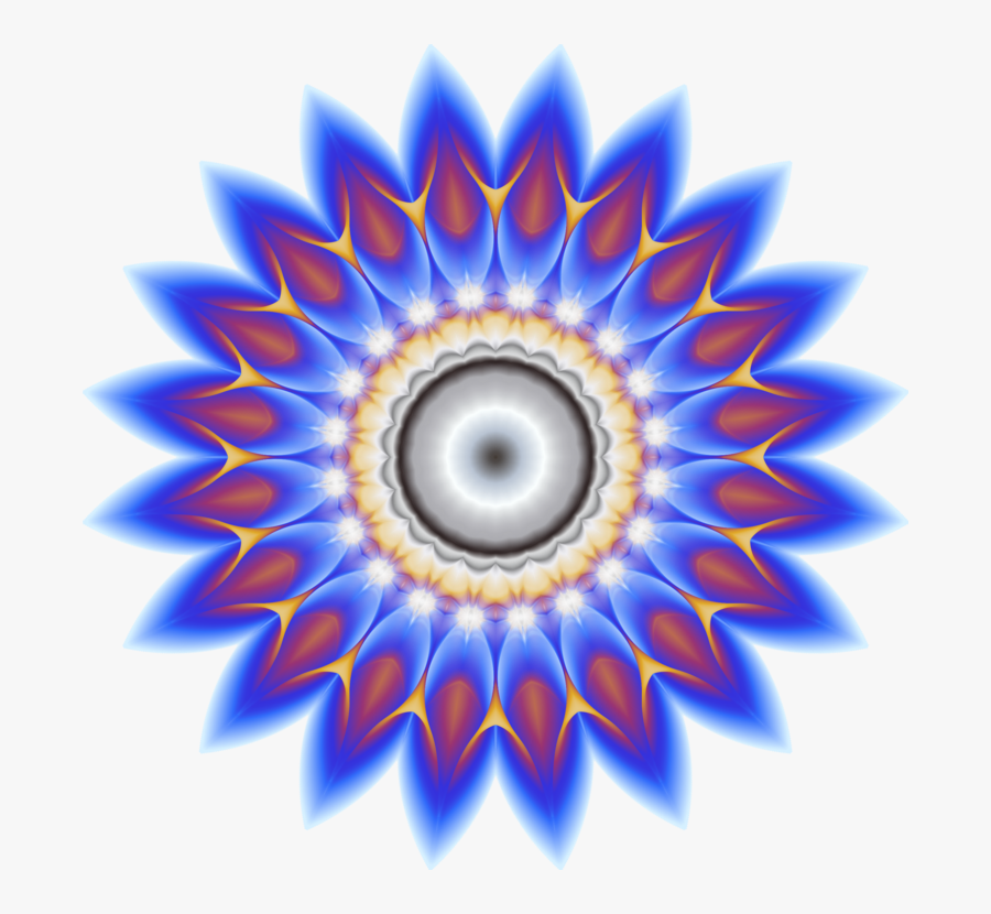 Blue,eye,symmetry, Transparent Clipart