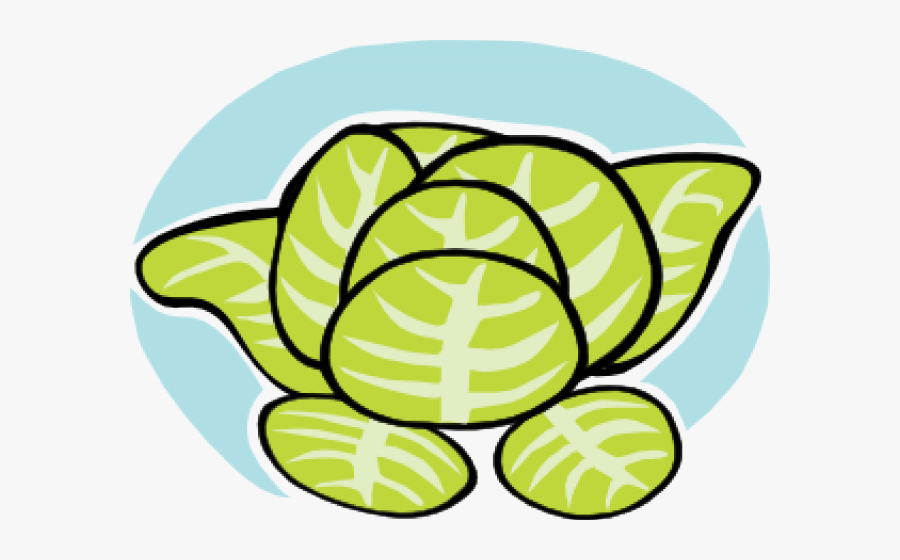 Lettuce Clipart Educlips - Lettuce Clip Art, Transparent Clipart