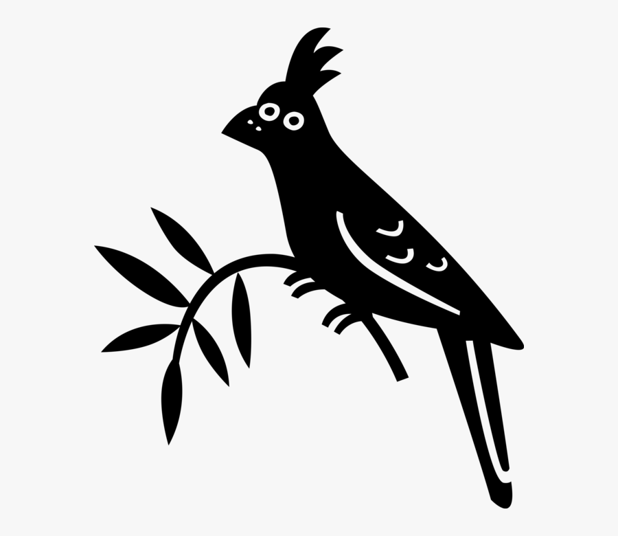 Sits On Tree Limb - Steller S Jay, Transparent Clipart