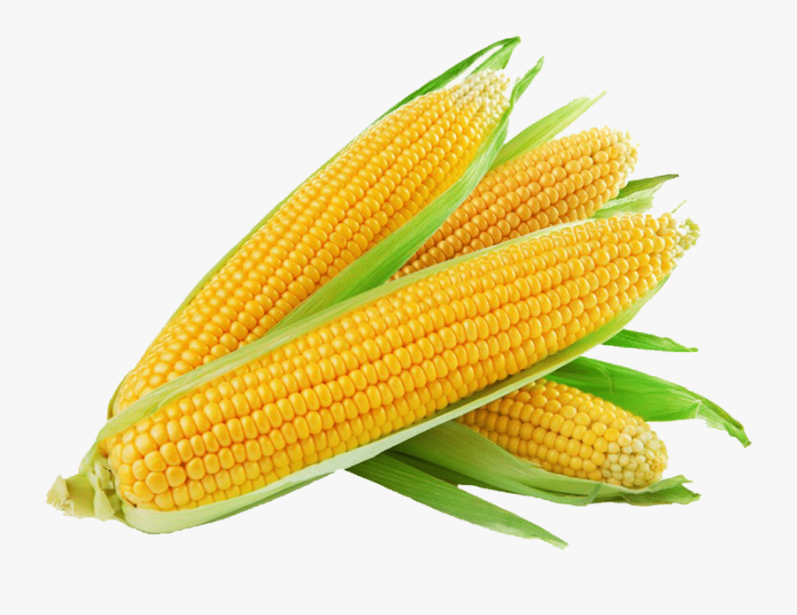 Sweet Corn , Png Download - Sweet Corn Image Png, Transparent Clipart