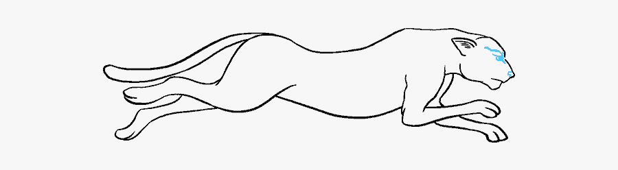 How To Draw Cheetah - Figure Drawing, Transparent Clipart