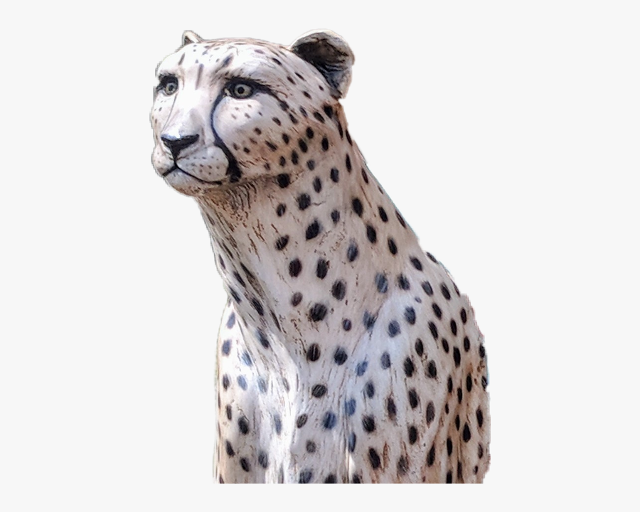 Tiger, Transparent Clipart