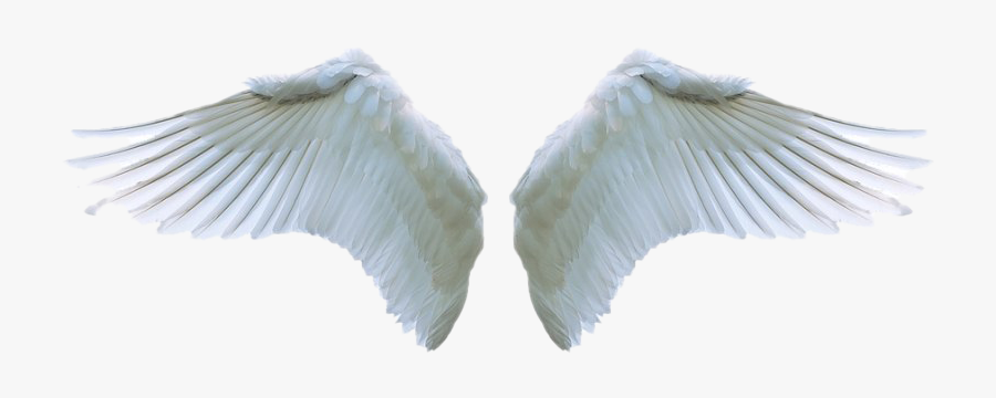 Angel Wings Png Clipart - Angel Wings Png Transparent, Transparent Clipart