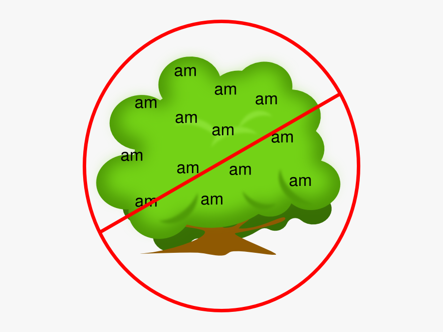 Median And Altitude Of Equilateral Triangle, Transparent Clipart
