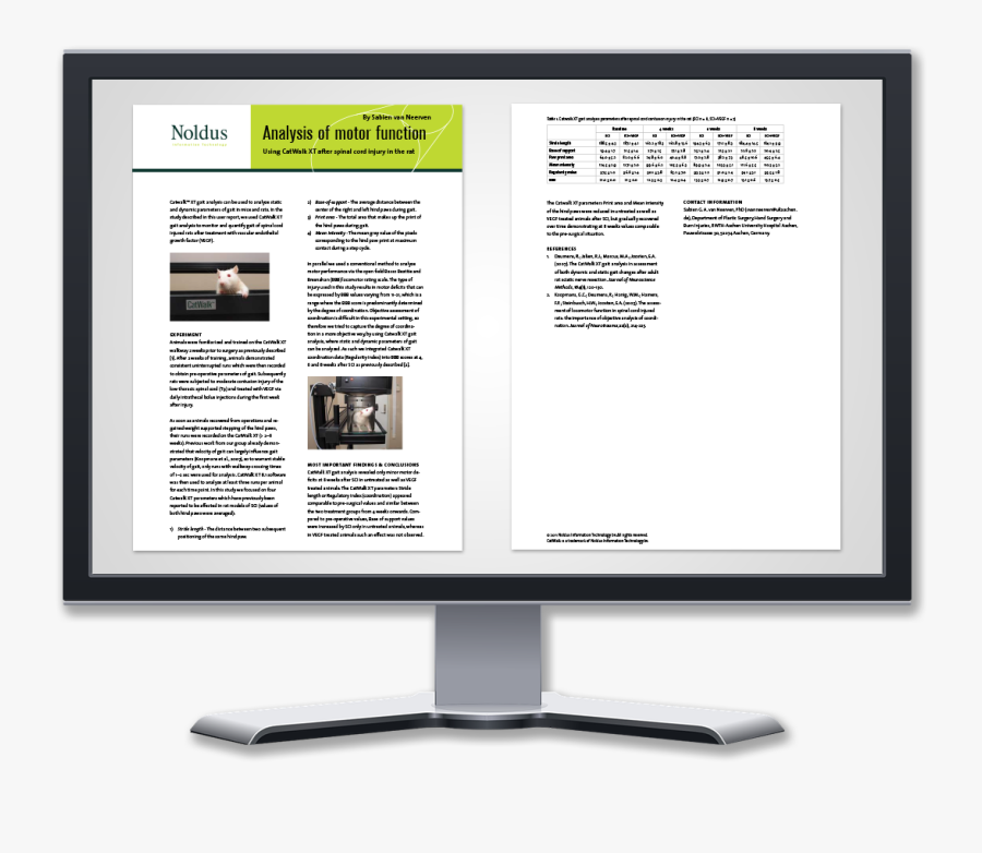 Casestudy Display Catwalk - Online Advertising, Transparent Clipart