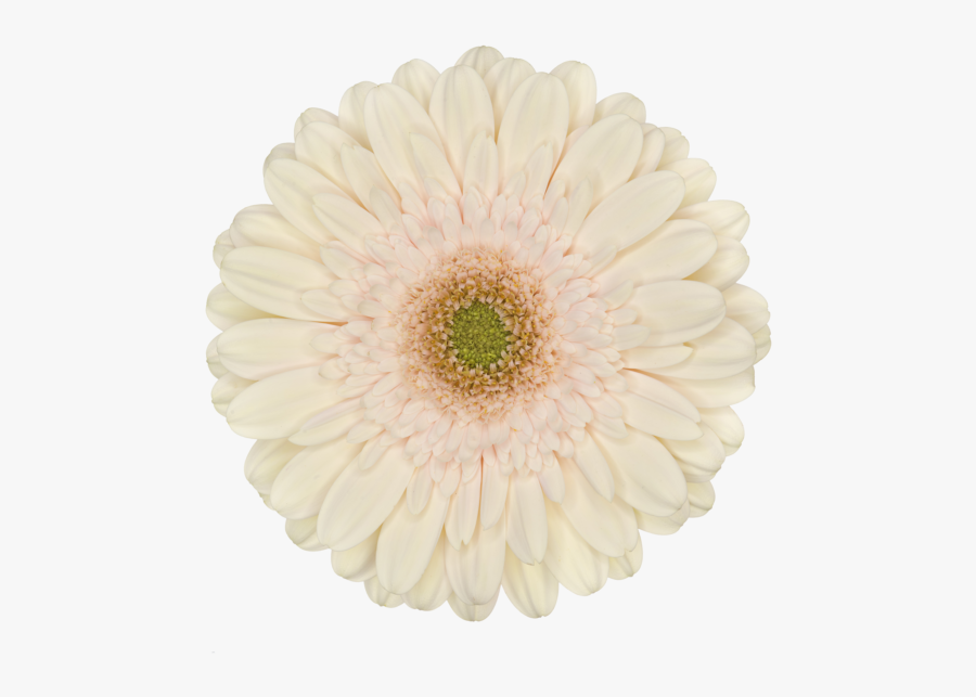 Hotel Mediterraneo Chiclayo Logo, Transparent Clipart