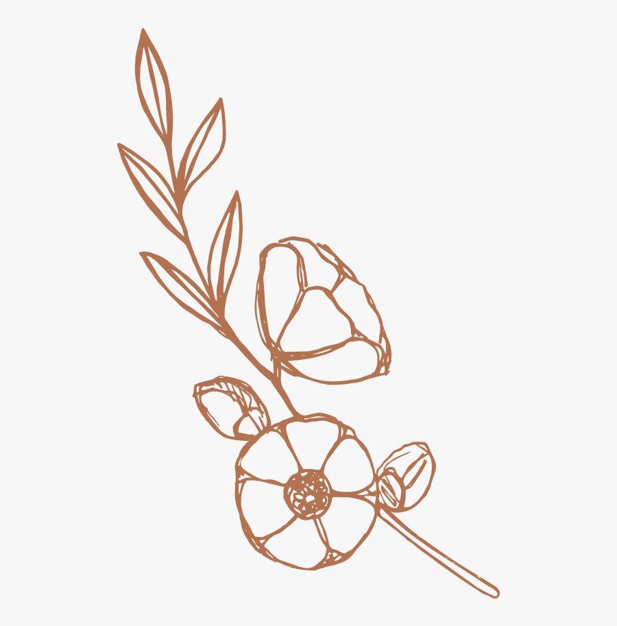 Illustration, Transparent Clipart