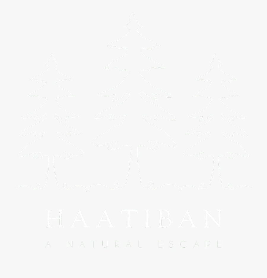 Evergreen Clipart Snow Capped - Christmas Tree, Transparent Clipart