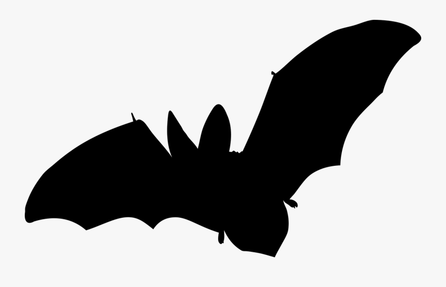 Bat Flying Silhouette Clipart, Transparent Clipart