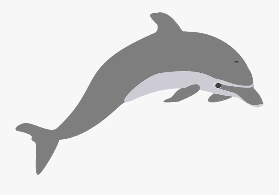 Bottlenose Dolphin Clipart Strong - Transparent Dolphin Clip Art, Transparent Clipart