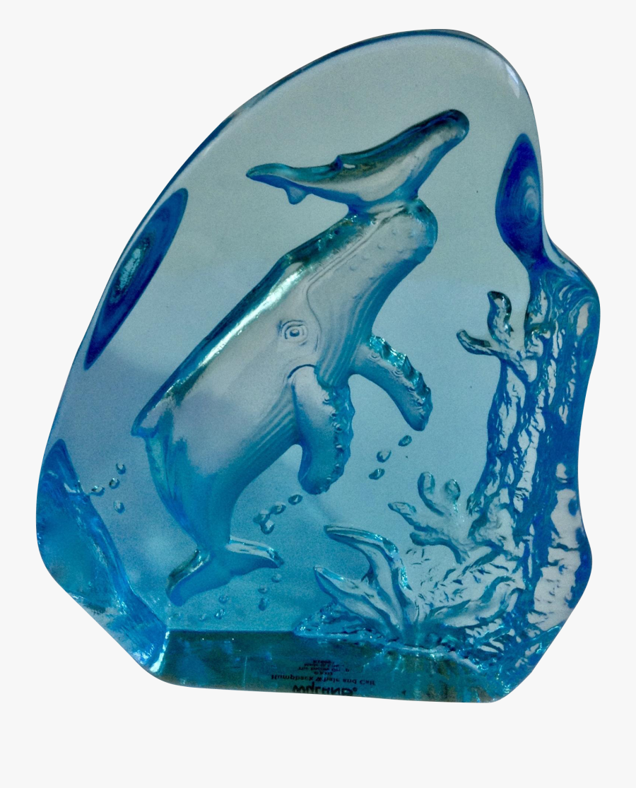 Transparent Humpback Whale Png - Common Bottlenose Dolphin, Transparent Clipart