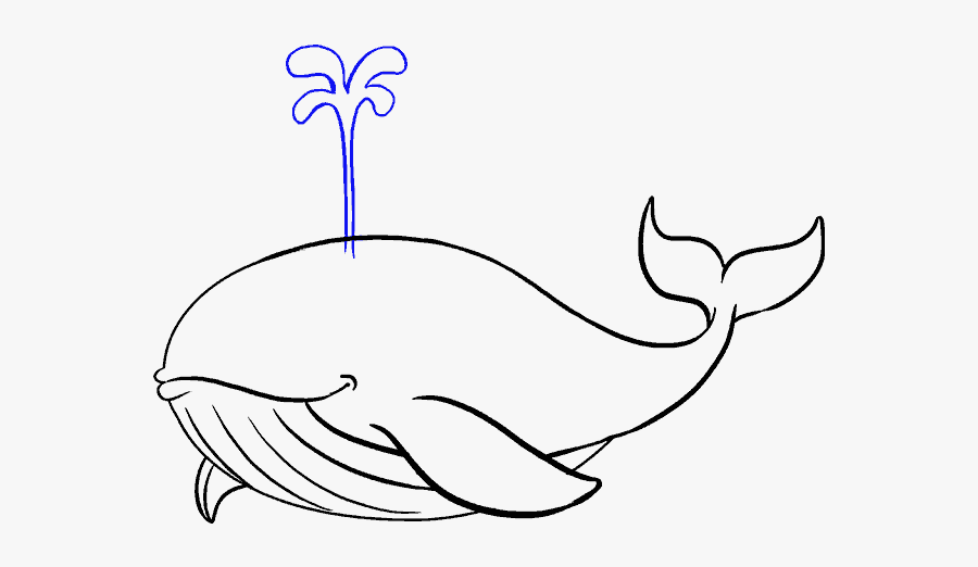 How To Draw A Whale In A Few Easy Steps Easy Drawing - Blue Whale Easy Drawing, Transparent Clipart