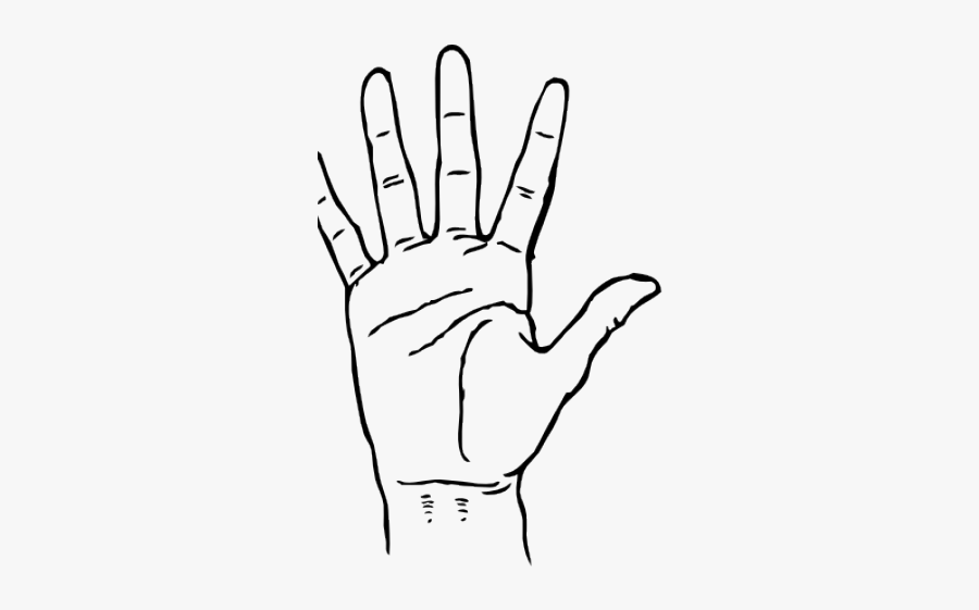 Fingers Clipart Seven - Hand Creases, Transparent Clipart